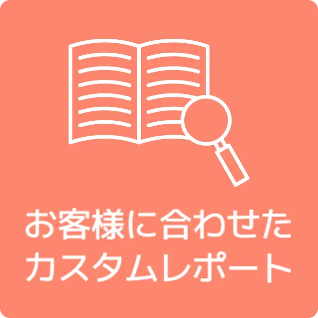 お客様に合わせたカスタムレポート